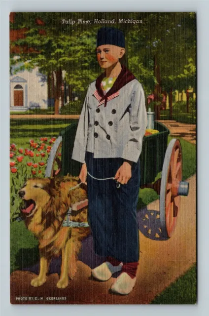 Holland MI, Tulip Time, Dutch Boy With His Dog, Wagon, Michigan Vintage Postcard