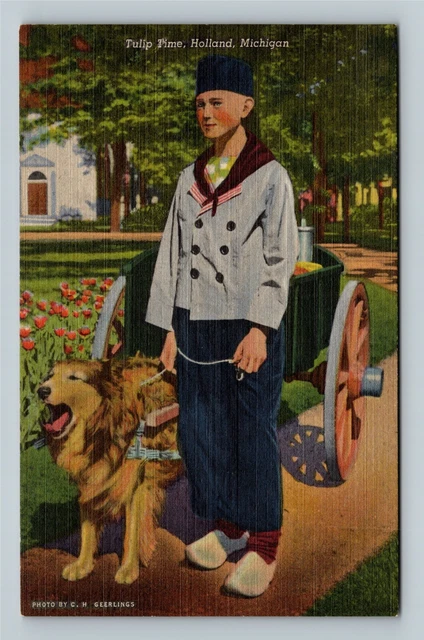 Holland MI, Tulip Time, Dutch Boy With His Dog, Wagon, Michigan Vintage Postcard