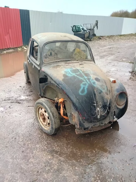 Classic Vw Beetle Classic Vw Beetle