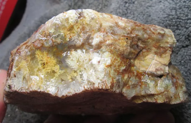 Plume Agate Rough ~ 5" X 4-1/2" X 2" ~ 1Lbs. 15.5Ozs.