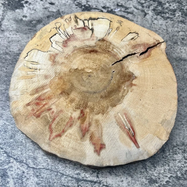 Spalted Flame Box Elder Cookie Round Live Edge 8”x8”x1.25” Spalted Flame Box Elder Cookie Round Live Edge 8”x8”x1.25”