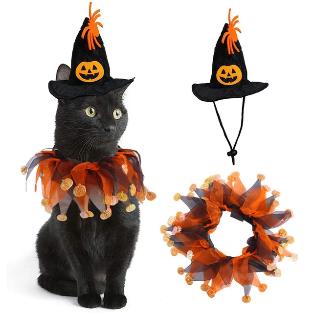 Halloween Haustierkostüm Set Schwarz Lustige Kleidung Für Weihnachten 3