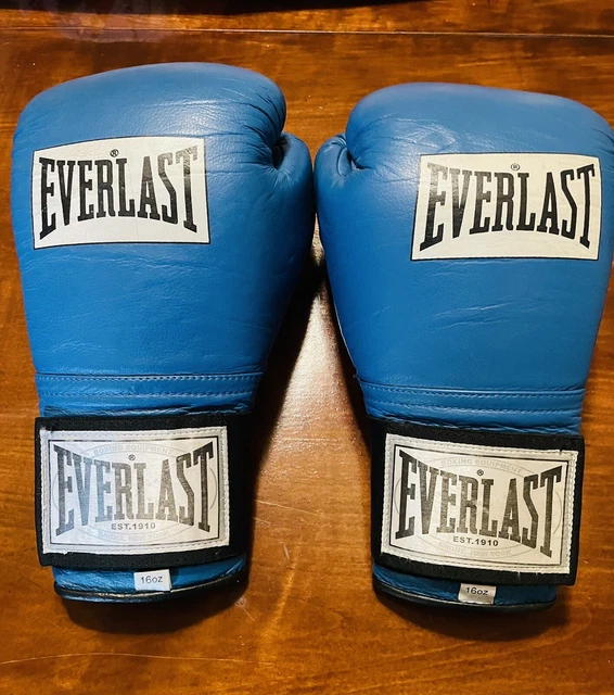EVERLAST USA 1416 Boxing Training Sparring Gloves 16oz (Grant Winning