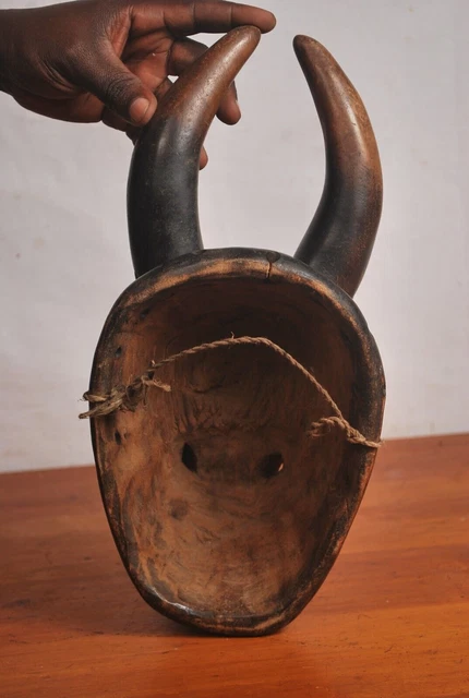 African Tribal Art,amazing Luba  animal  mask from Katanga region  DRC . 8
