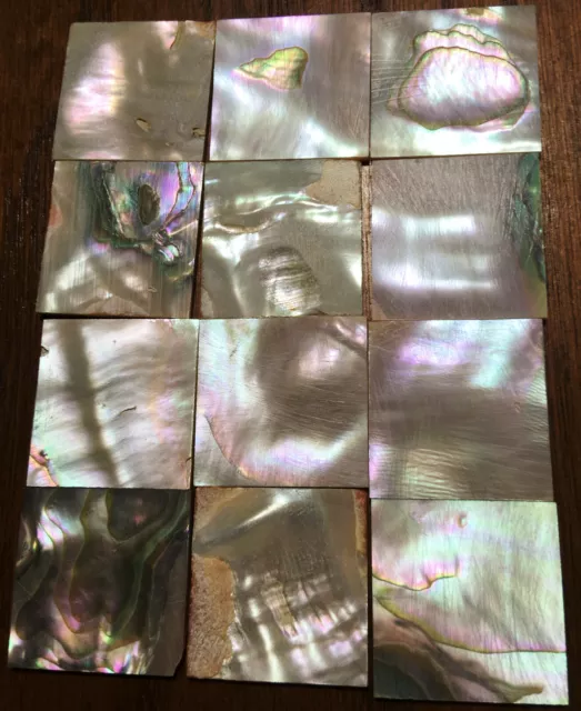 29.6 grams (12pcs) Abalone Fretboard Inlay NOS Gibson Kalamazoo Factory Lot-10 29.6 grams (12pcs) Abalone Fretboard Inlay NOS Gibson Kalamazoo Factory Lot-10