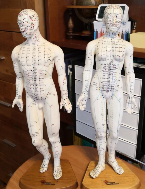 Akupunktur-Figuren 2-er Set