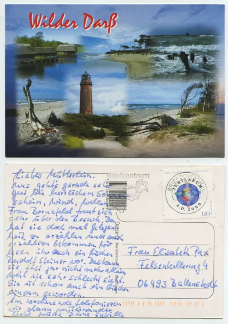 58315 - Wilder Darß - Ansichtskarte, gelaufen 5.7.2001