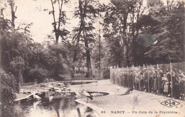 NANCY 83 one corner from the stamped peacock nursery 1926