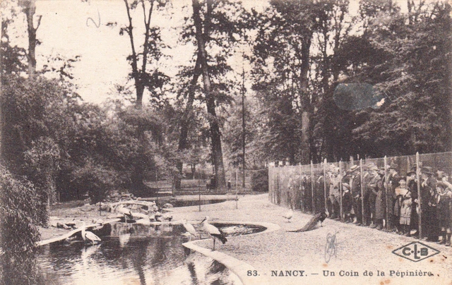 NANCY 83 un coin de la pépinière paon timbrée 1926