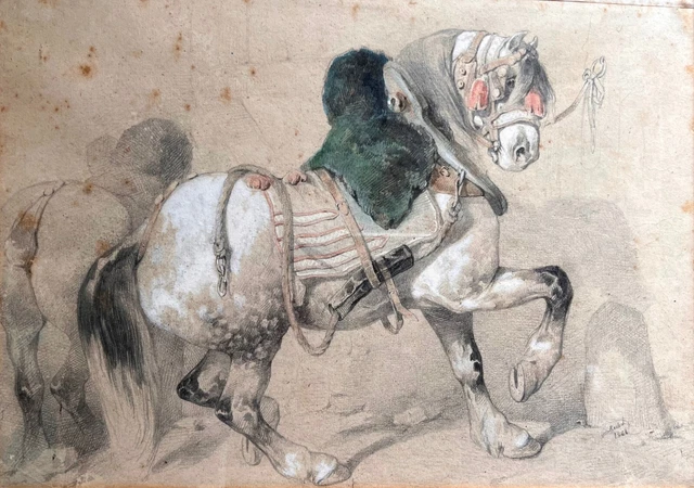 Peinture Ancienne - Étude De Cheval - France - Fin XIXème - Carton