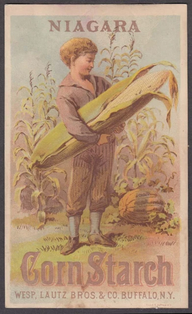 Niagara Corn Starch trade card 1880s boy huge ear Douglass & Cowles Oneida NY
