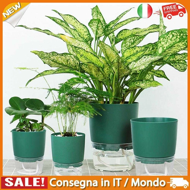 IT Auto Absorbing Flower Pot Self Watering Planter Hydroponic Potted (S Green)