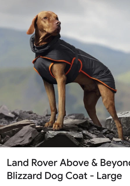 Blizzard deals dog coat