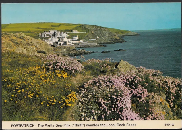 Scotland Postcard - Portpatrick - The Pretty Sea-Pink Mantles The Rock  RR891