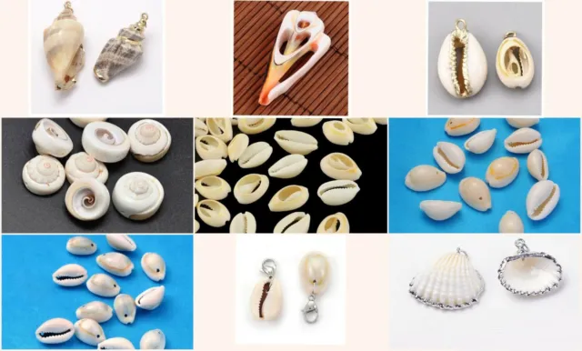 Perlen + Anhänger Kauri Cowrie Muschel Perlen Verbinder verschiedene Größen