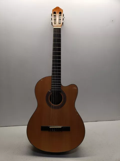 LUCERO LC100CE ACOUSTIC-ELECTRIC Cutaway Classical Guitar Natural ...