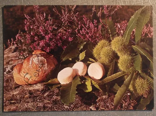 Carte postale Chataîgnes et cabécous gastronomie francaise   postcard