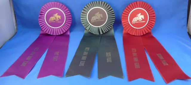 3, VINTAGE 1970's SOUTH ANNA PONY CLUB, VIRGINIA RIBBON AWARDS, 1st, 2nd, 6th