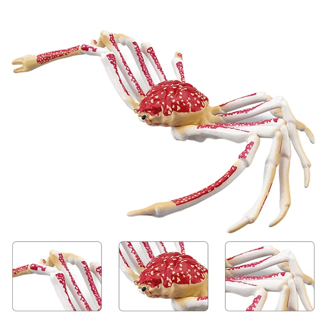 Animal Model Vivid Ornamental Mini Crab Animal Model Novelty