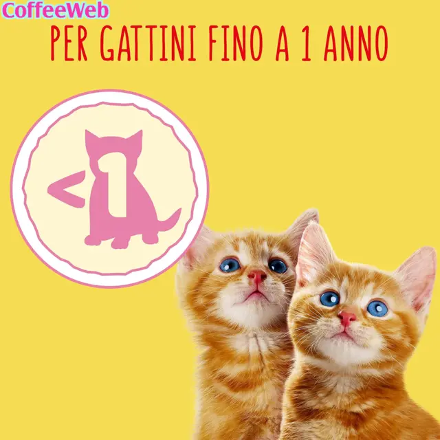 Purina Friskies Crocchette Gatti Kitten, Cibo per Gattini Con Pollo, Tacchino, L 3