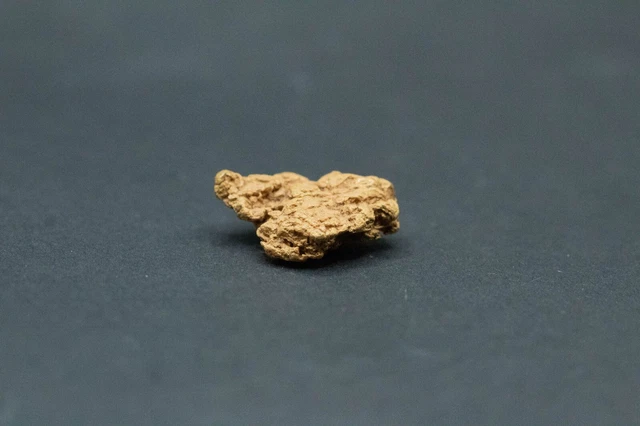 9.2 Grams Colorado Natural Gold Nugget (G17)
