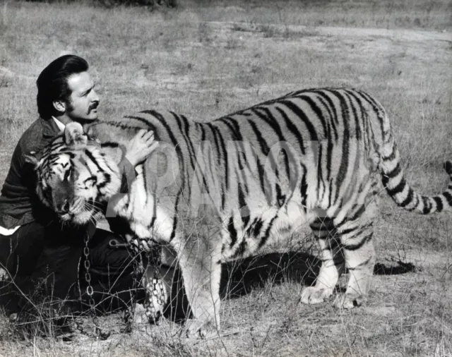 Foto vintage de archivio USA, John Weinhart Juega Con La de Tigre, impresión