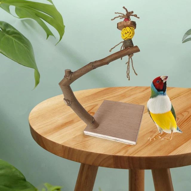 Papagei Barsch mit Sockel Naturholz Vogelständer Spielzeug Plattform