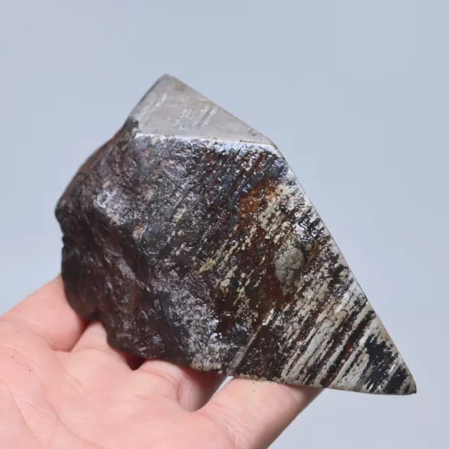 528g  Muonionalusta meteorite part slice C6298