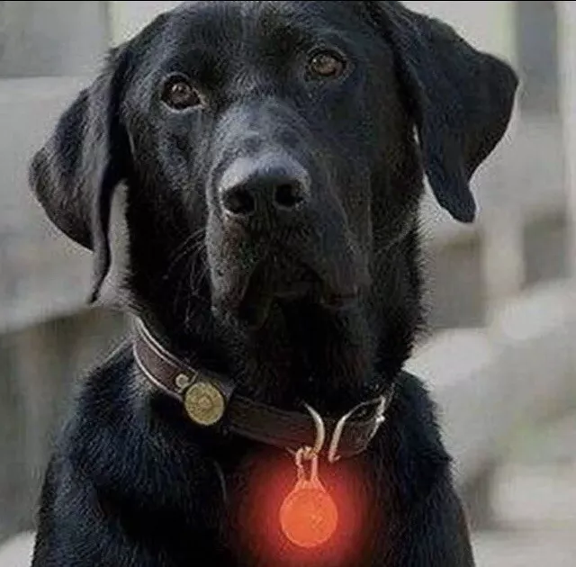 (4)Pet Safety Light