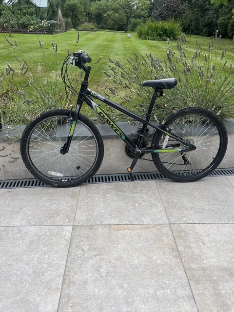 Diamondback hyrax 24 online