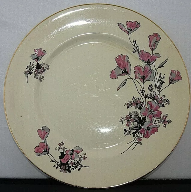 Vintage Myott Staffordshire Dinner Plate