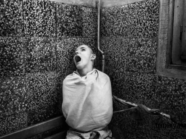 Antique Asylum Photo 344b Oddleys Strange & Bizarre