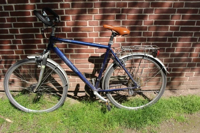 fahrradanhänger 1 sitzer gebraucht Croozer Vaaya / refurbished Foto: Cube Stereo Hybrid alte_seite_produkte_sprossensamen Model:A7 Pro