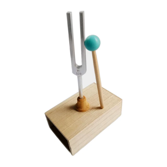 Stimmgabel-Set 440 Hz – 2 Stück Mit Holz-Resonatorbox & Klopfer, Für Physikexperimente & Unterricht