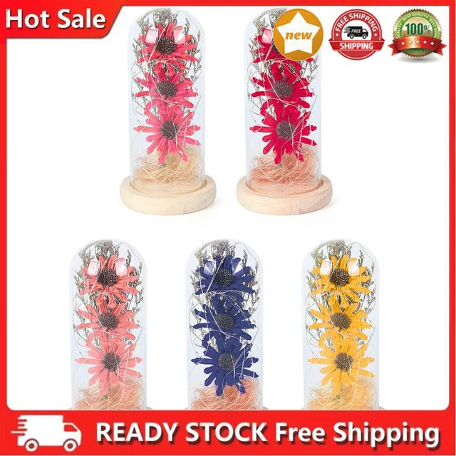 Girasole essiccato in vetro festa della mamma regalo cupola comodino calda lampada notte arredamento casa