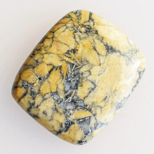Corail Rouge Naturel Italien AAA+ Non Traité - Certifié AGL 23 X 6 Mm - Pierre Précieuse Brute