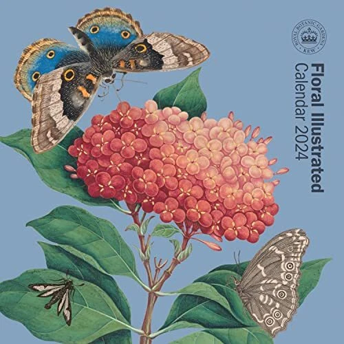 ROYAL BOTANIC GARDENS Kew 2024 Calendar NEW £6.99 PicClick UK