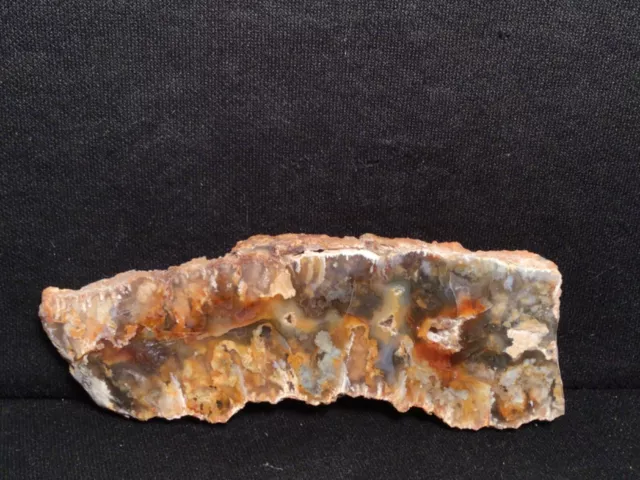 ~Rw~  Polished "Graveyard Point Plume Agate" Specimen ~~ Eastern Oregon