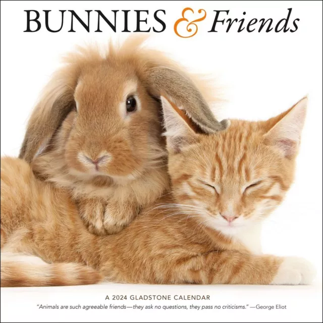 GLADSTONE MEDIA, Bunnies and Friends 2024 Wall Calendar 19.07 PicClick