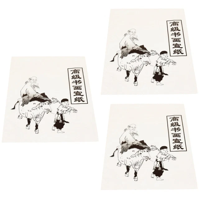 Fkereg Raw Xuan Lot de 10 feuilles de papier shikishi pré-montées - 25 x 27 cm - Pour calligraphie chinoise - Papier Sumi pour artiste, peinture, dessin, aquarelle, loisirs créatifs (C
