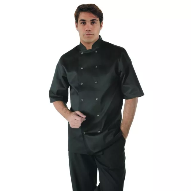 Whites Vegas Chefs Jacket Short Sleeve Black Xs A439-Xs