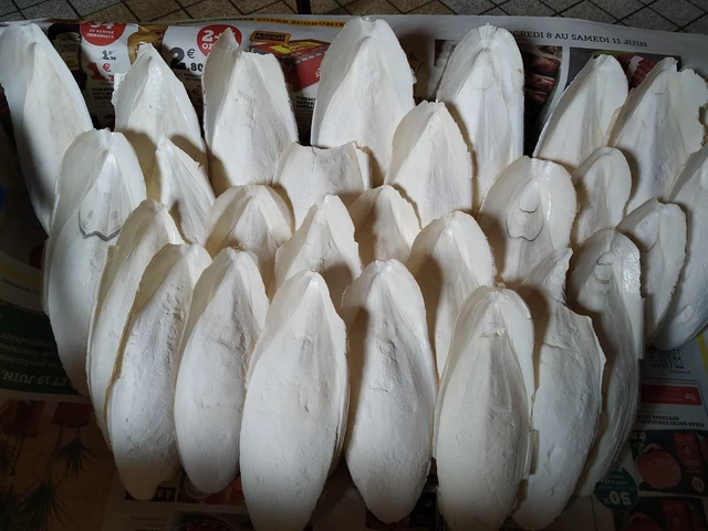 os de seiche 500g riche en calcium 