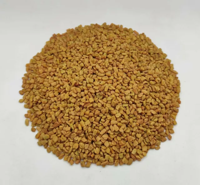 Graines de Fenugrec Séchées 85g - 1.95kg Trigonella foenum-graecum 3