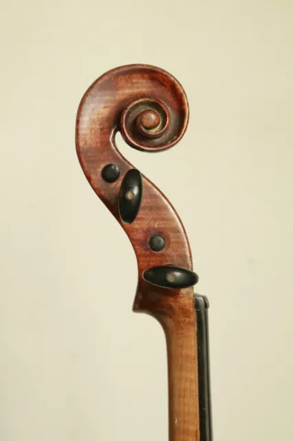 Mattio Alban fecit bolzen 17-- violin