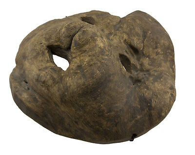 Mask Hat and Mitten Set Mushroom Shaman Dankuta Ra Touchwood Art Tharu 25700 W4 3