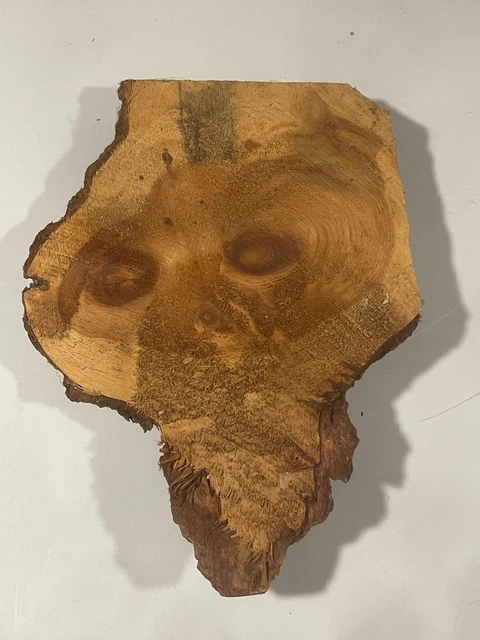 Oddity Firewood Shaped Like State of Illinois Interesting Piece One of a Kind