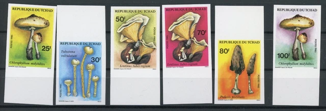 Tschad 1092-1097 B postfrisch Pilze #HE762