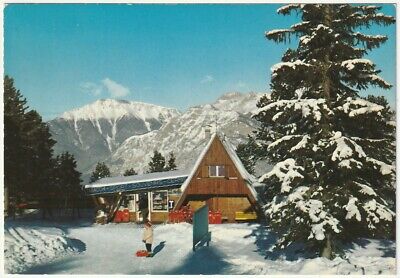 cartolina Trentino Alto Adige Cavalese CATENA ALPI LAGORAI 1953 