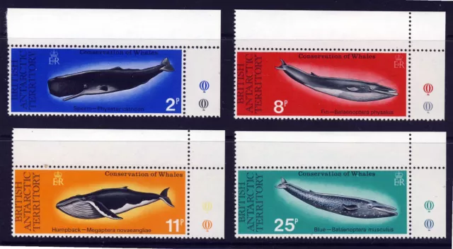 BRITISH ANTARCTIC TERRITORY 1977 The Whale Conservation Set SG 79 to SG 82 MNH