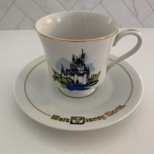 https://www.picclickimg.com/pZMAAOSwlaFlNKsL/Walt-Disney-World-Tea-Cup-Saucer-Souvenir-Castle.webp